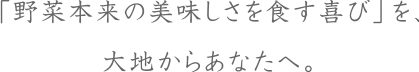 「野菜本来の美味しさを食す喜び」を大地からあなたへ。