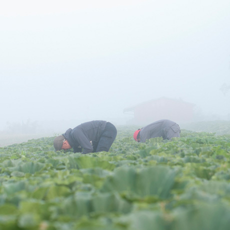 1.真の美味しさを追究する姿勢