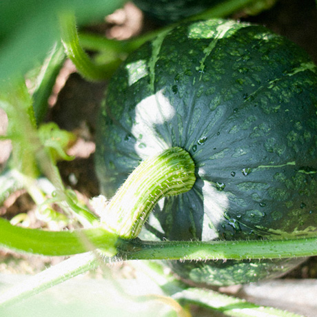 2.1つに美味しさを集中させる